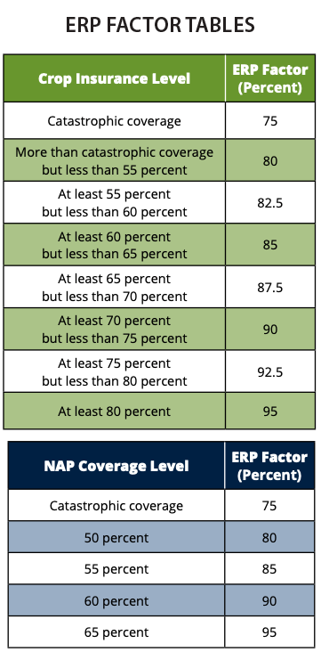 ERP Factor Tables